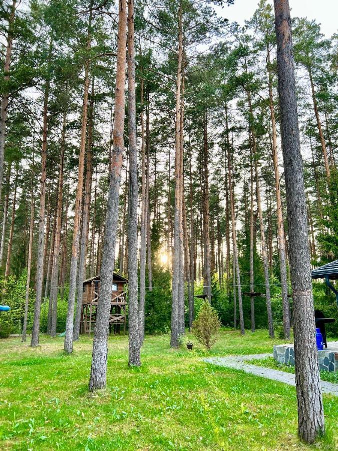 Caloroczne Domy Z Bala - Casa Del Czyzyk Serwy Екстериор снимка